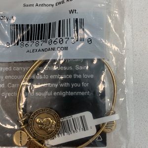 Alex and Ani gold bangle